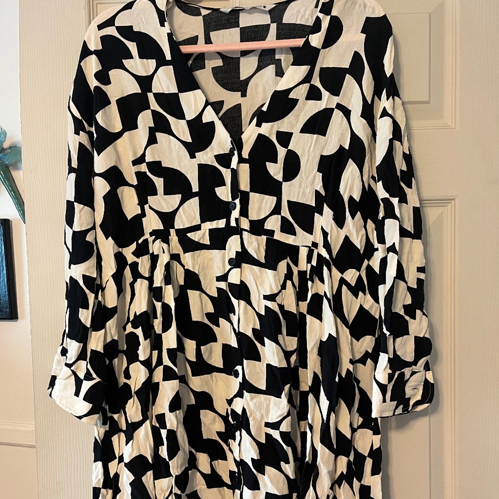 Zara dress
